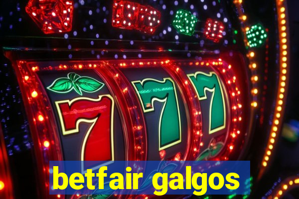 betfair galgos